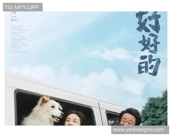 上海乒乓球队的逆袭之旅：从低谷到巅峰的奋斗与荣耀