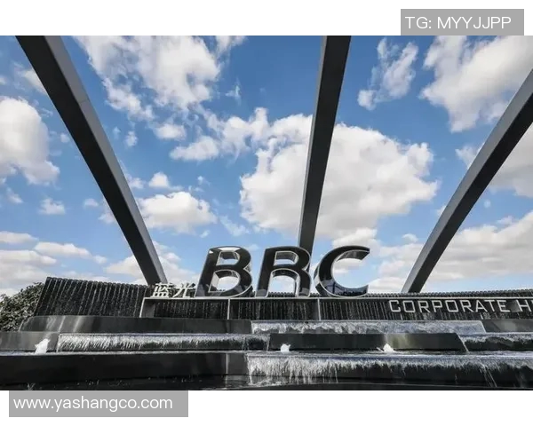 广州乒乓球队在奥运会上的表现评析与未来展望